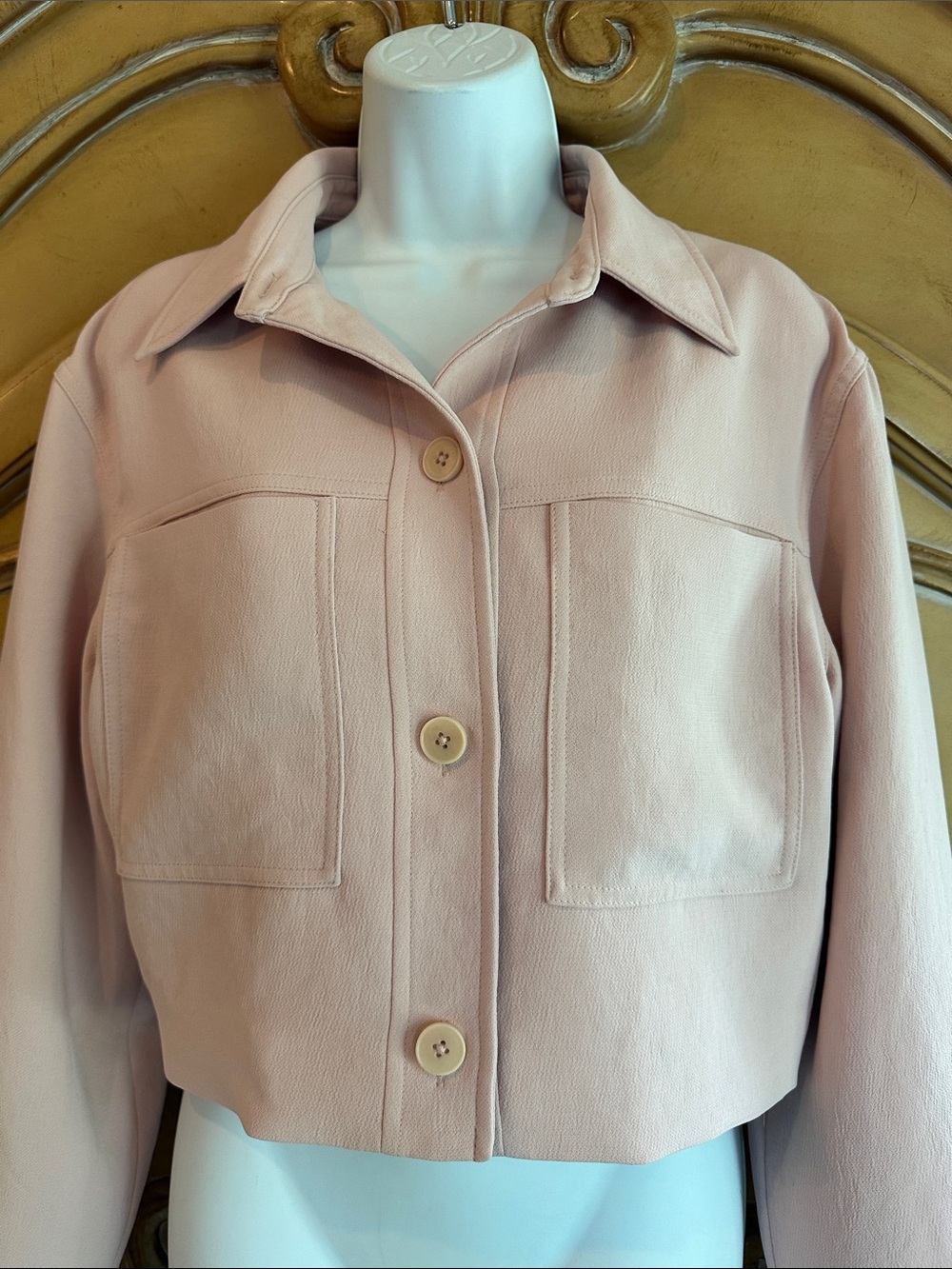 Aritzia Wilfred Cropped Button-Front Jacket in Light Blush
